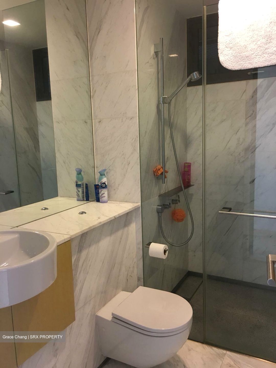 Newton Suites (D11), Apartment #582426741